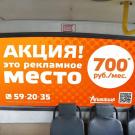 Оклейка заднего стекла